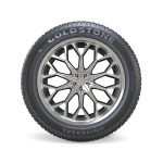 GS-2030 Goldstone